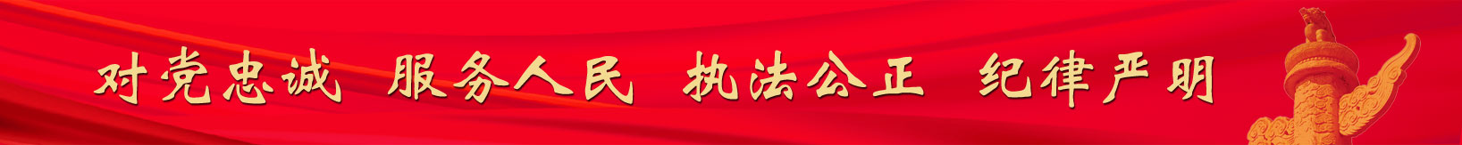 对党忠诚 服务人民 执法公正 纪律严明